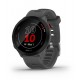 Garmin 010-02562-13 Relojes inteligentes y deportivos MIP 42 mm Gris GPS (satélite)